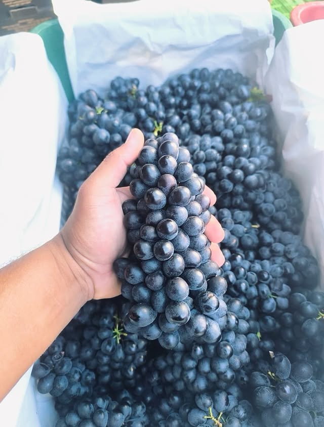 Produto 3